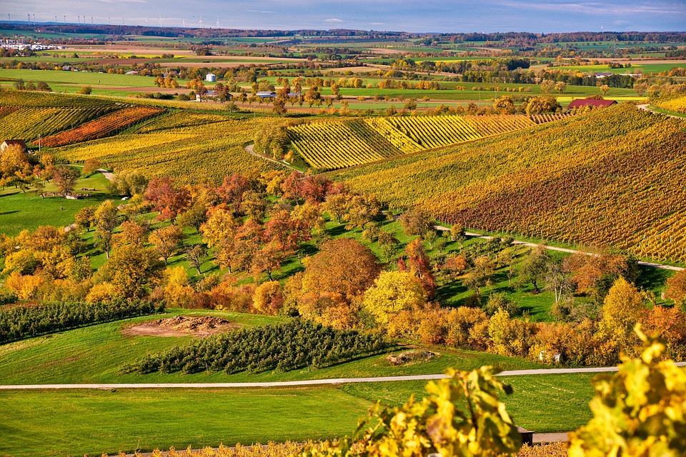 Herfst Thema - Sicilië